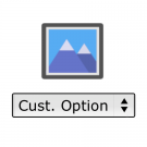 Custom Option Images